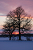 solnedg�ng vid Bryn�sa