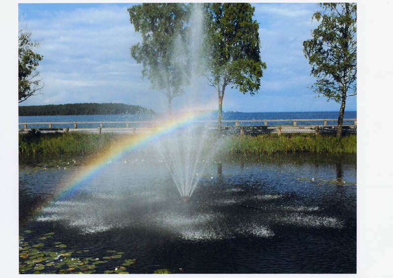 Birgitta Carlsson 2